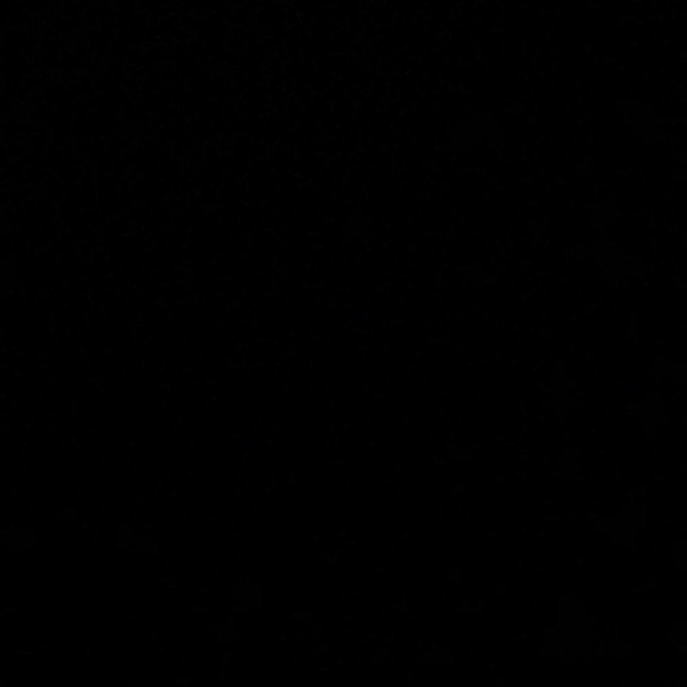 Meet your Posher, Kaylin